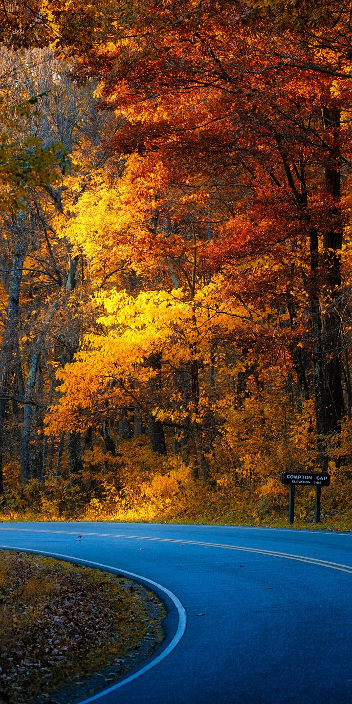 Autumn Road Through a USA Forest - Wallpapers for Samsung Galaxy A03s, Xiaomi Redmi 7A, POCO C3 in 720x1440 resolution