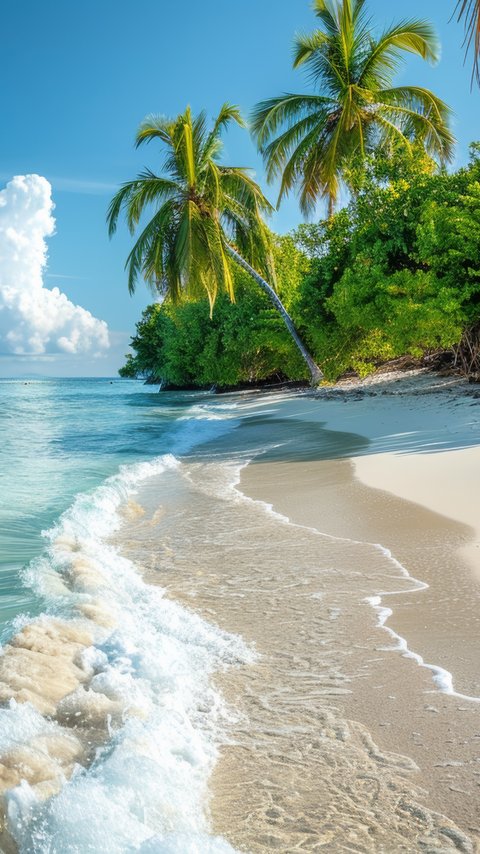 Tropical Beach with Ocean Waves - Wallpapers for LG/ASUS in 480x854 resolution