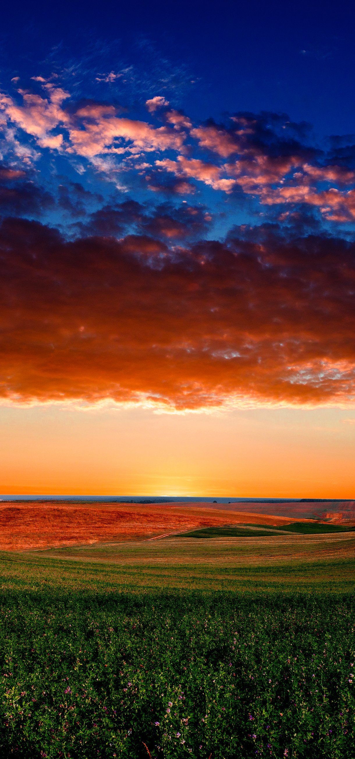 Colorful sunset over a green field - Wallpapers for Xiaomi 17/17 Pro in 1220x2608 resolution