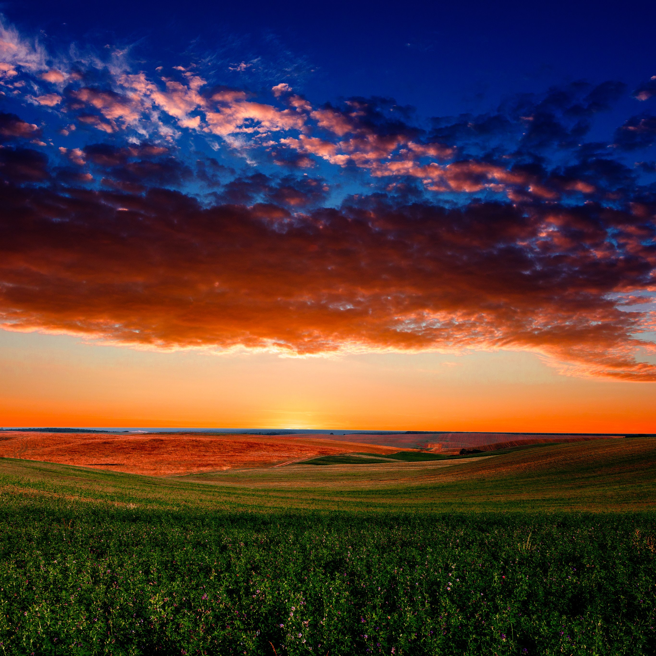 Colorful sunset over a green field - Wallpapers for iPad Pro 12.9″ in 2732x2732 resolution