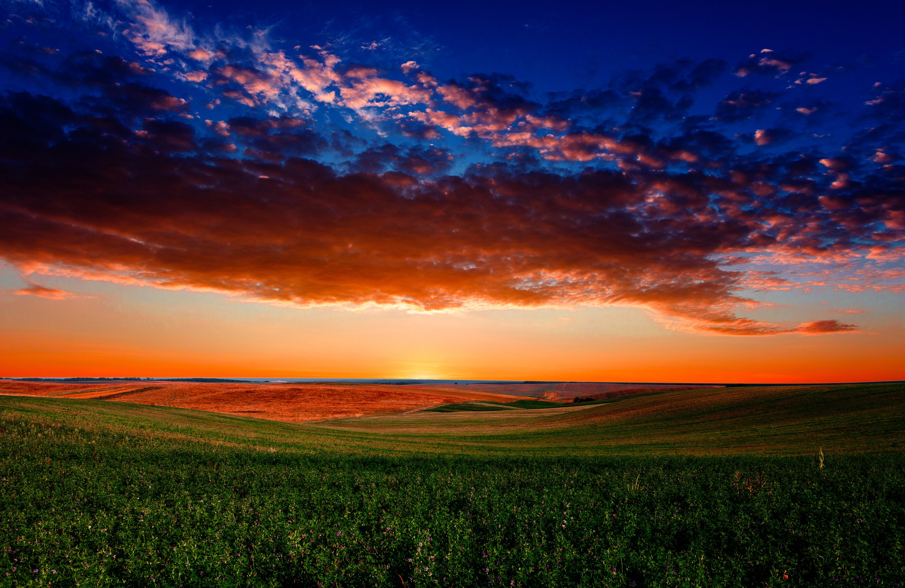 Colorful sunset over a green field - Wallpapers for Apple MacBook 14.2″ in 3024x1964 resolution