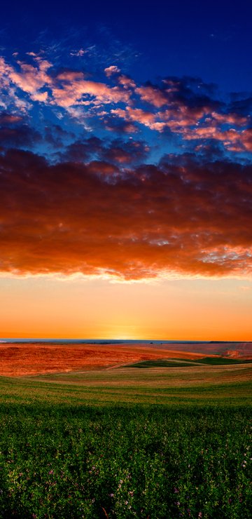 Colorful sunset over a green field - Wallpapers for Samsung in 360x740 resolution