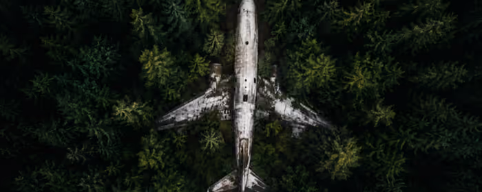 Dual Monitor Wallpapers Airplane (7680x2160): forest, trees, wildlife, ruins
