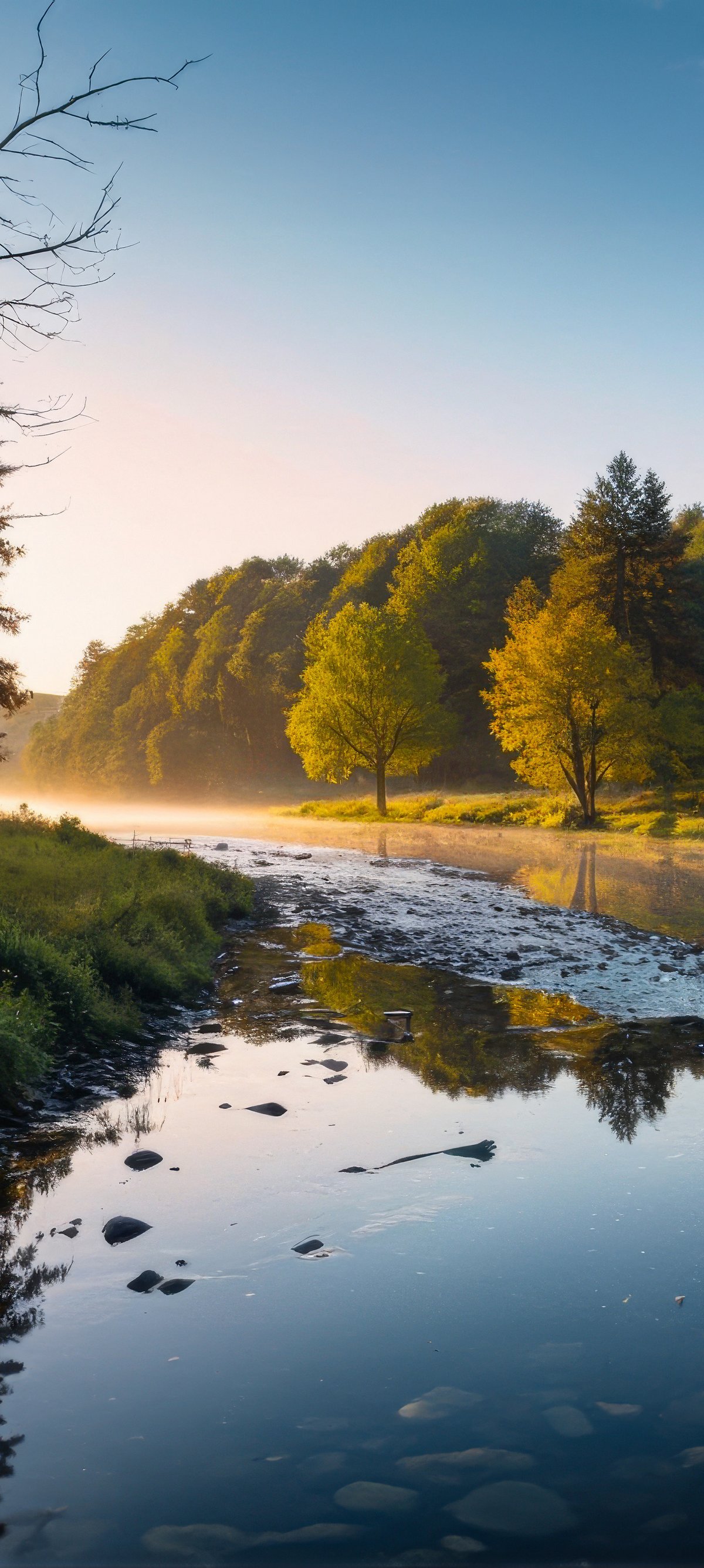 River in Germany at summer dawn - Wallpapers for Xiaomi 15 in 1200x2670 resolution