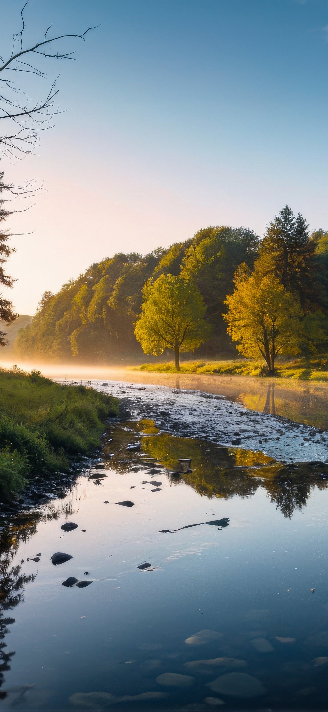 River in Germany at summer dawn - Wallpapers for iPhone 15 Pro Max/14 Pro Max in 1290x2796 resolution