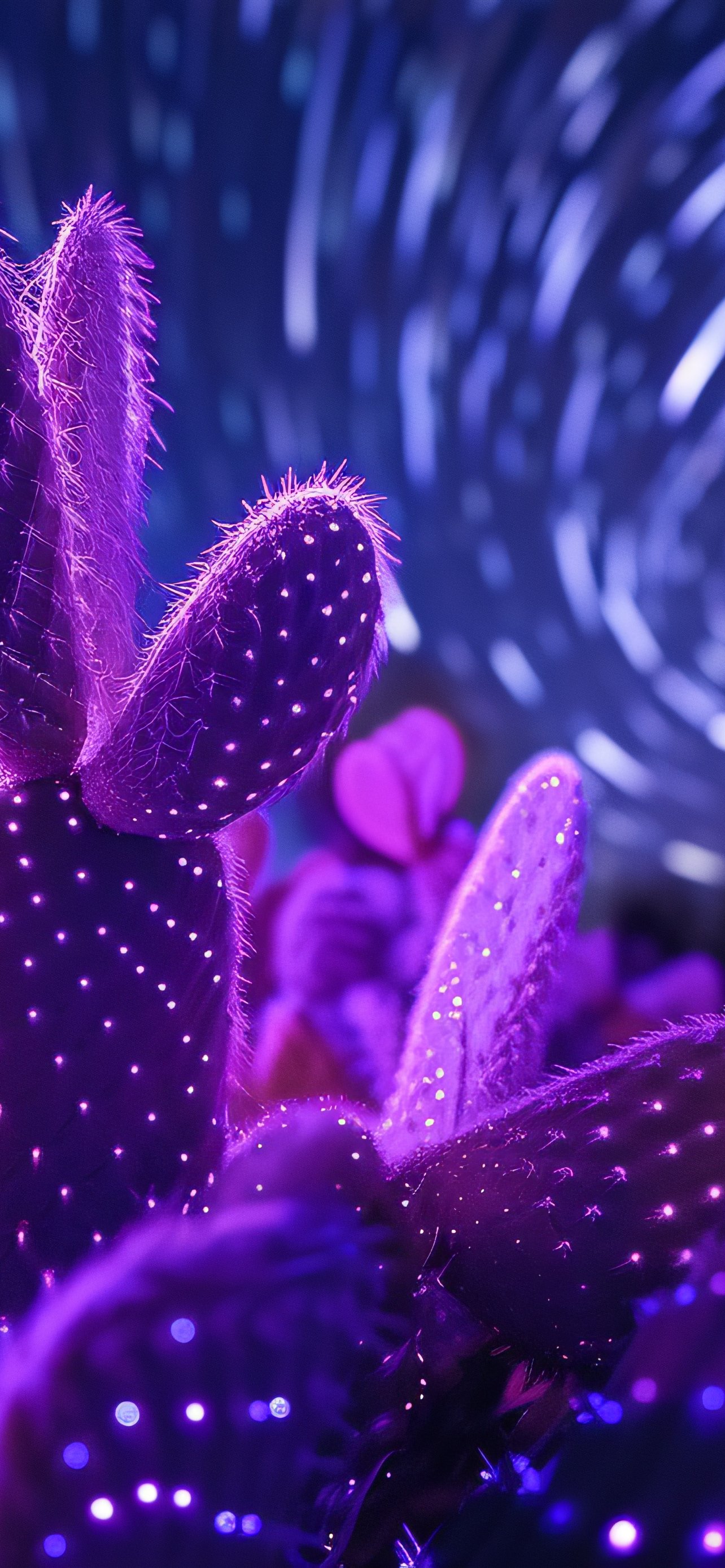 Neon Cactus Amid Night Light Trails - Wallpapers for iPhone 13 Pro Max/12 Pro Max/14 Plus in 1284x2778 resolution