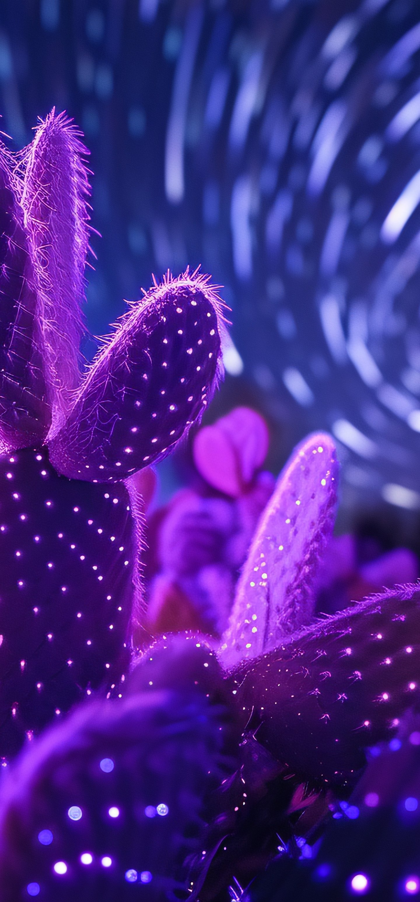 Neon Cactus Amid Night Light Trails - Wallpapers for Samsung Galaxy S22 Ultra/S23 Ultra in 1440x3088 resolution