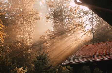 Nature wallpapers: cabin, forest, autumn, wildlife