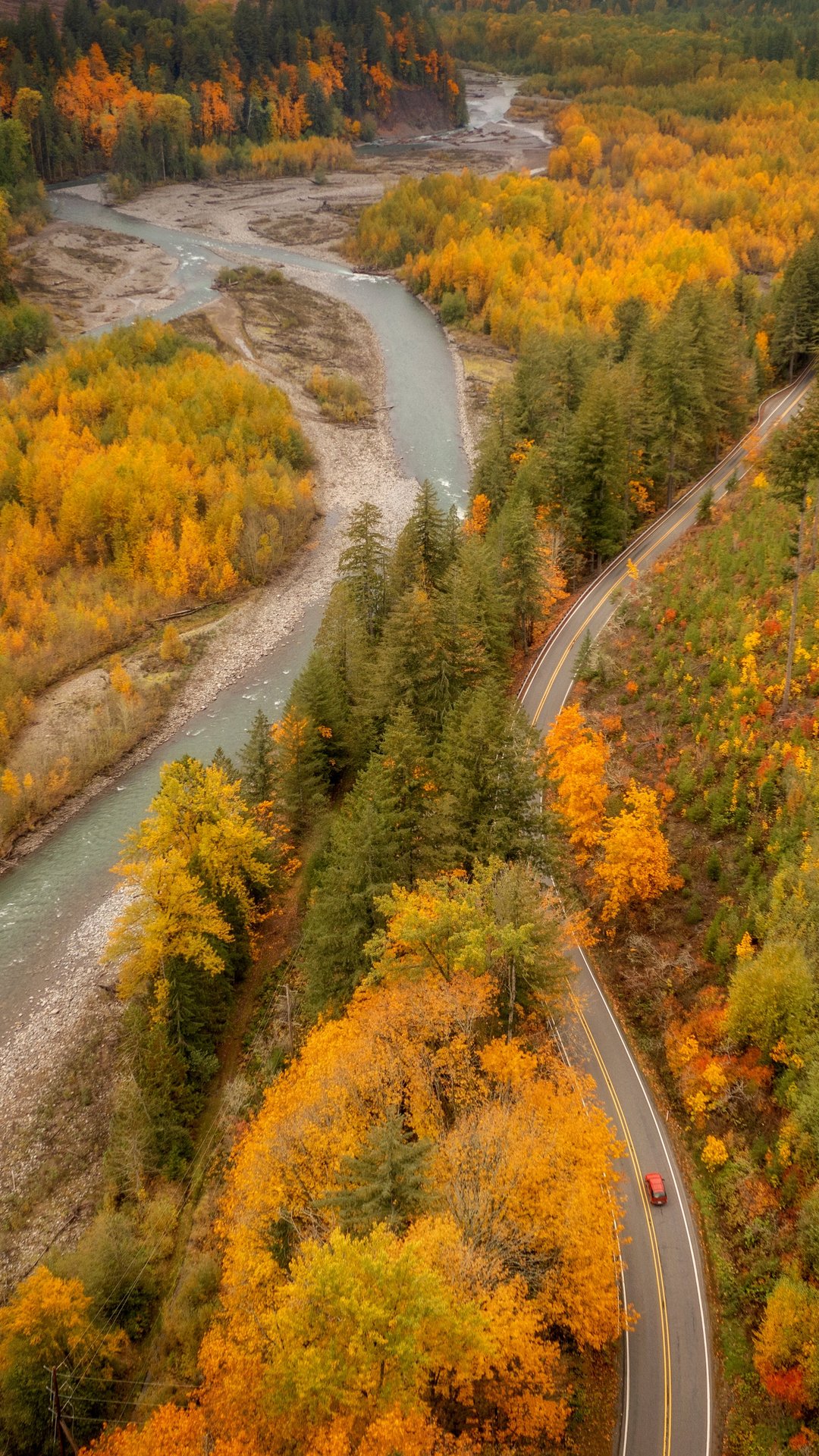 Autumn Forest Valley with a Stream - Wallpapers for Samsung, Honor, Sony in 1080x1920 resolution