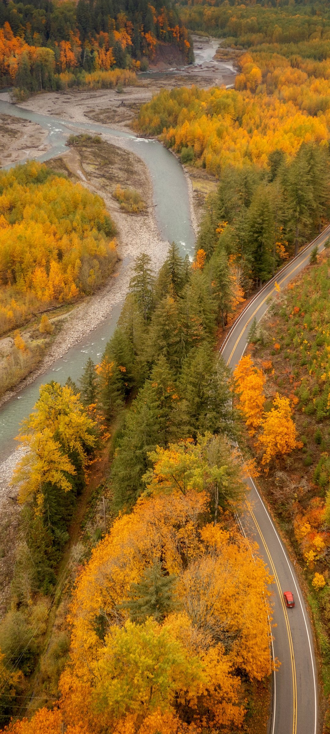 Autumn Forest Valley with a Stream - Wallpapers for Samsung Galaxy M55, POCO M4/X4/X5, Xiaomi Redmi 12/13/Note 13/Note 14/Note 14S in 1080x2400 resolution
