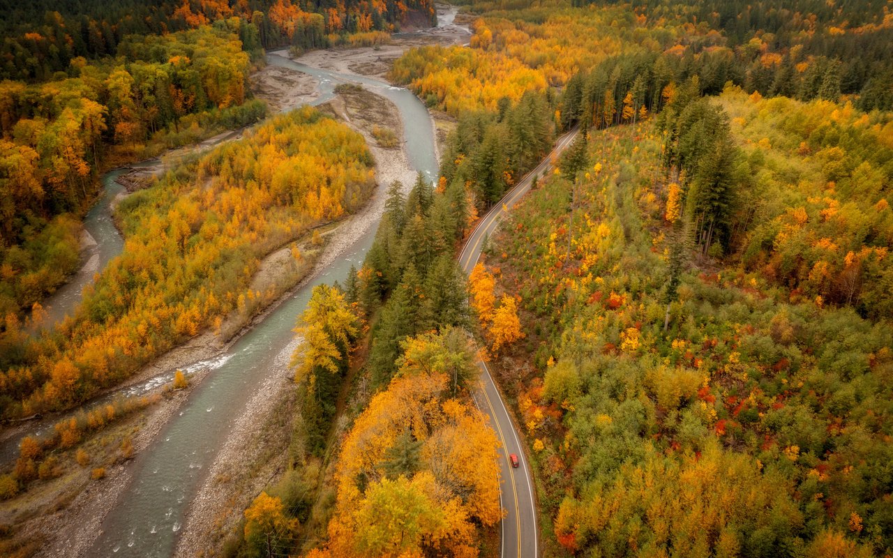Autumn Forest Valley with a Stream - WXGA_1280 wallpapers in 1280x800 resolution