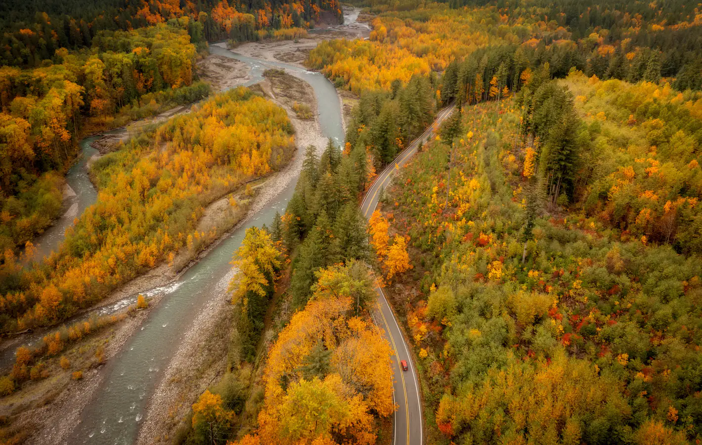 Autumn Forest Valley with a Stream — desktop and phone wallpaper, free download