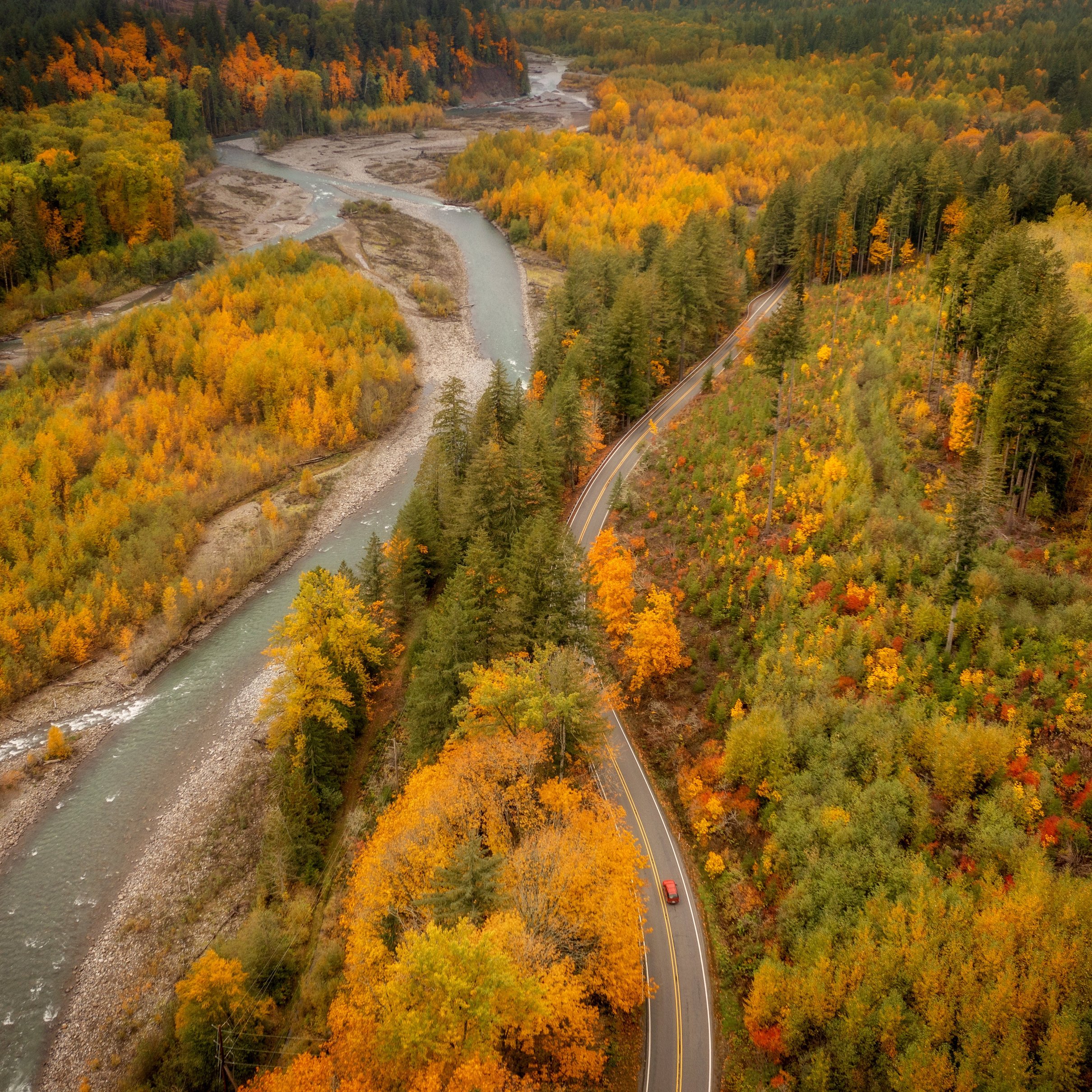 Autumn Forest Valley with a Stream - Wallpapers for iPad Pro 11″ 2024 in 2420x2420 resolution