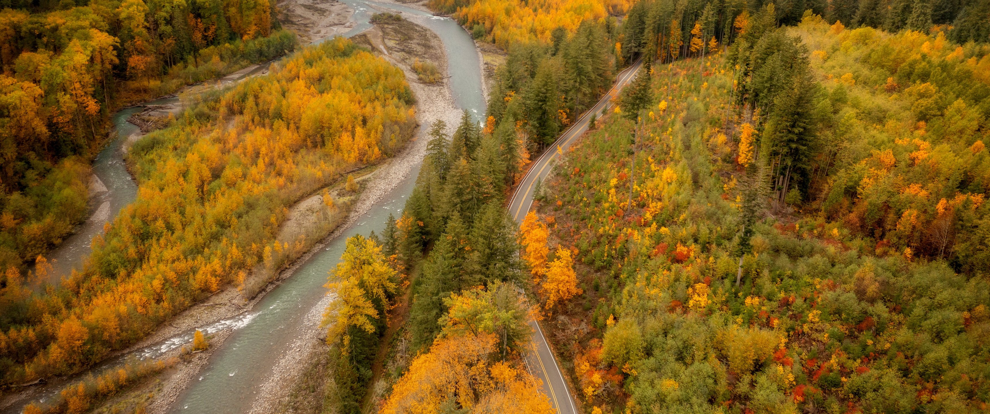 Autumn Forest Valley with a Stream - UltraWide 21:9 wallpapers in 3440x1440 resolution