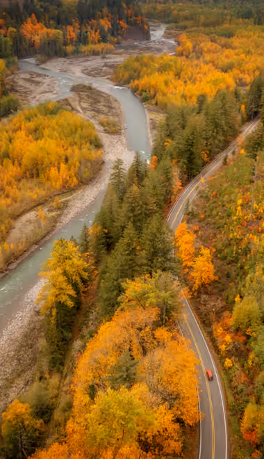 Scenery Wallpapers for Samsung Galaxy S8/S8+/Note 8/S9/S9+/Note 9 (1440x2960): autumn, valley, wildlife, forest