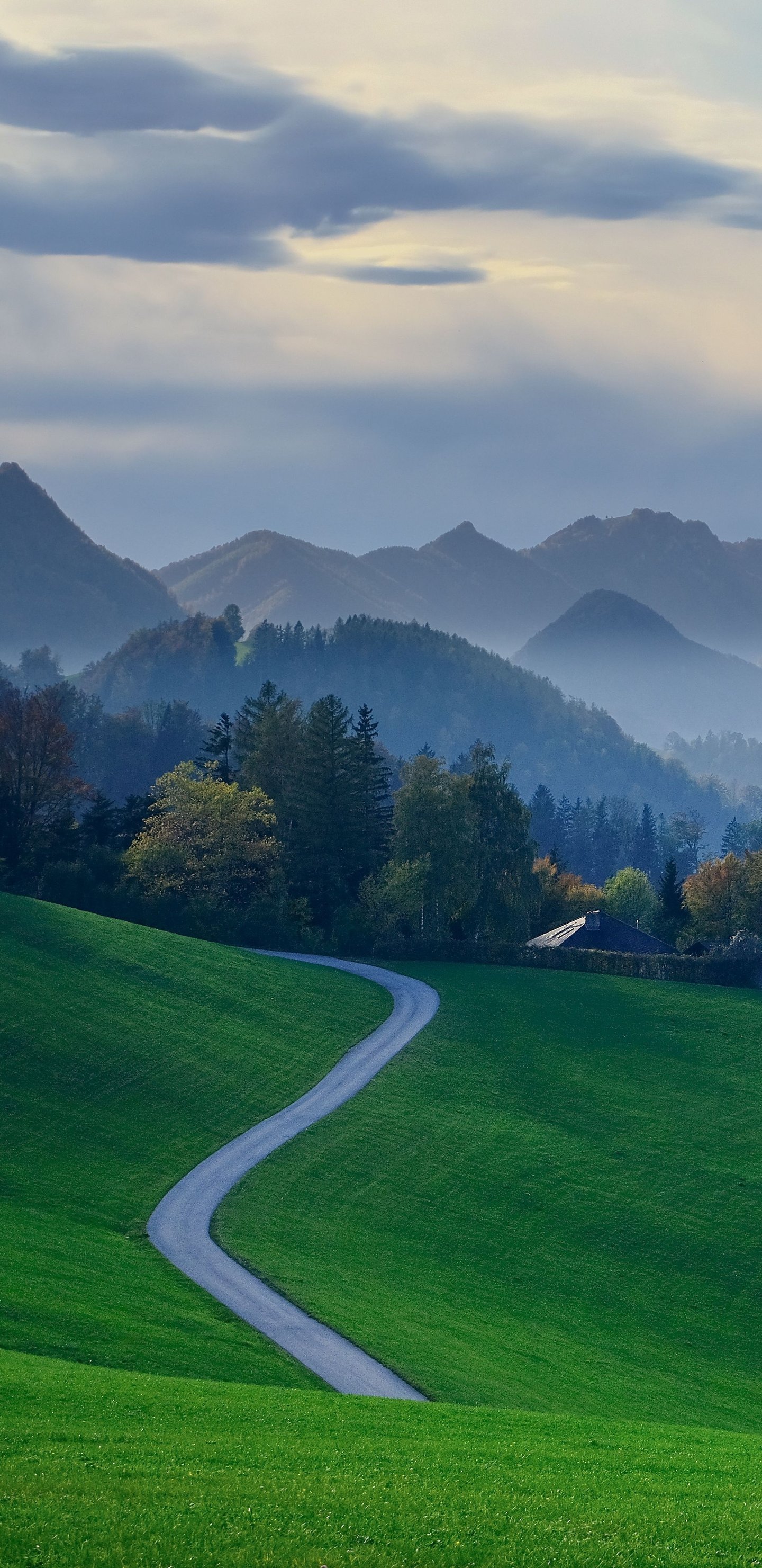 Flat green field and hills - Wallpapers for Samsung Galaxy S8/S8+/Note 8/S9/S9+/Note 9 in 1440x2960 resolution
