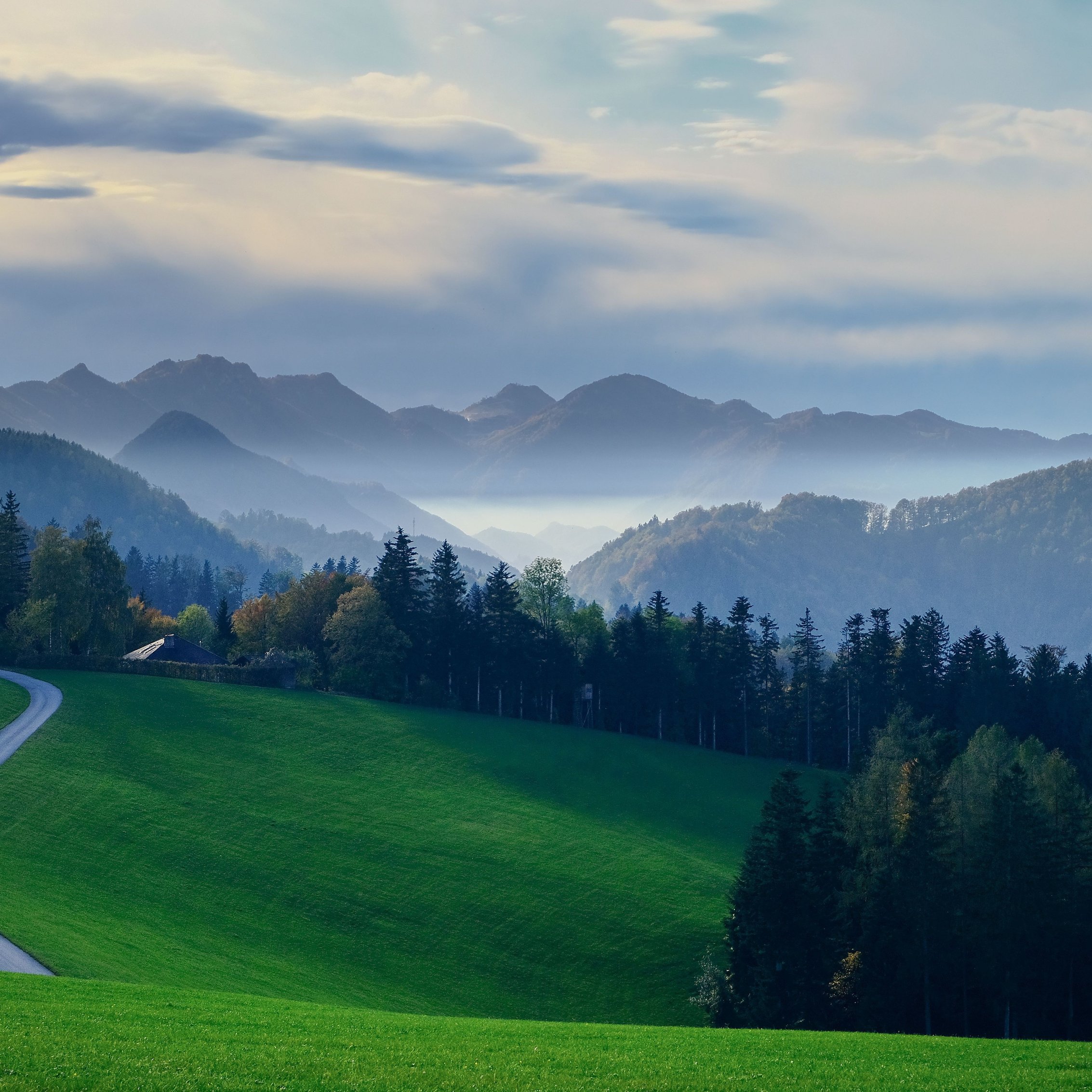 Flat green field and hills - Wallpapers for iPad mini 8.3″ in 2266x2266 resolution