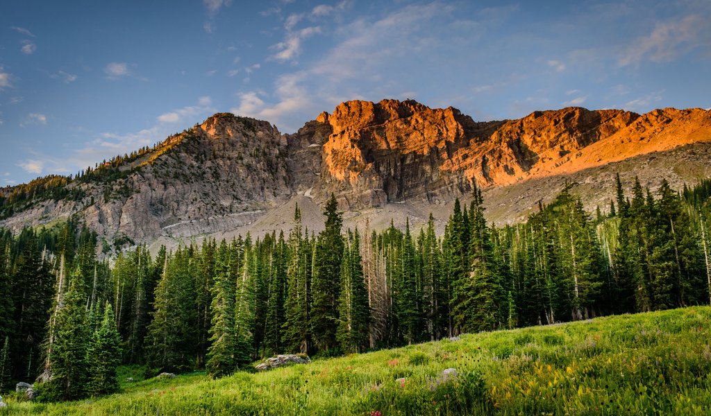 Mountains and forest in a yellow sunset - WSVGA wallpapers in 1024x600 resolution