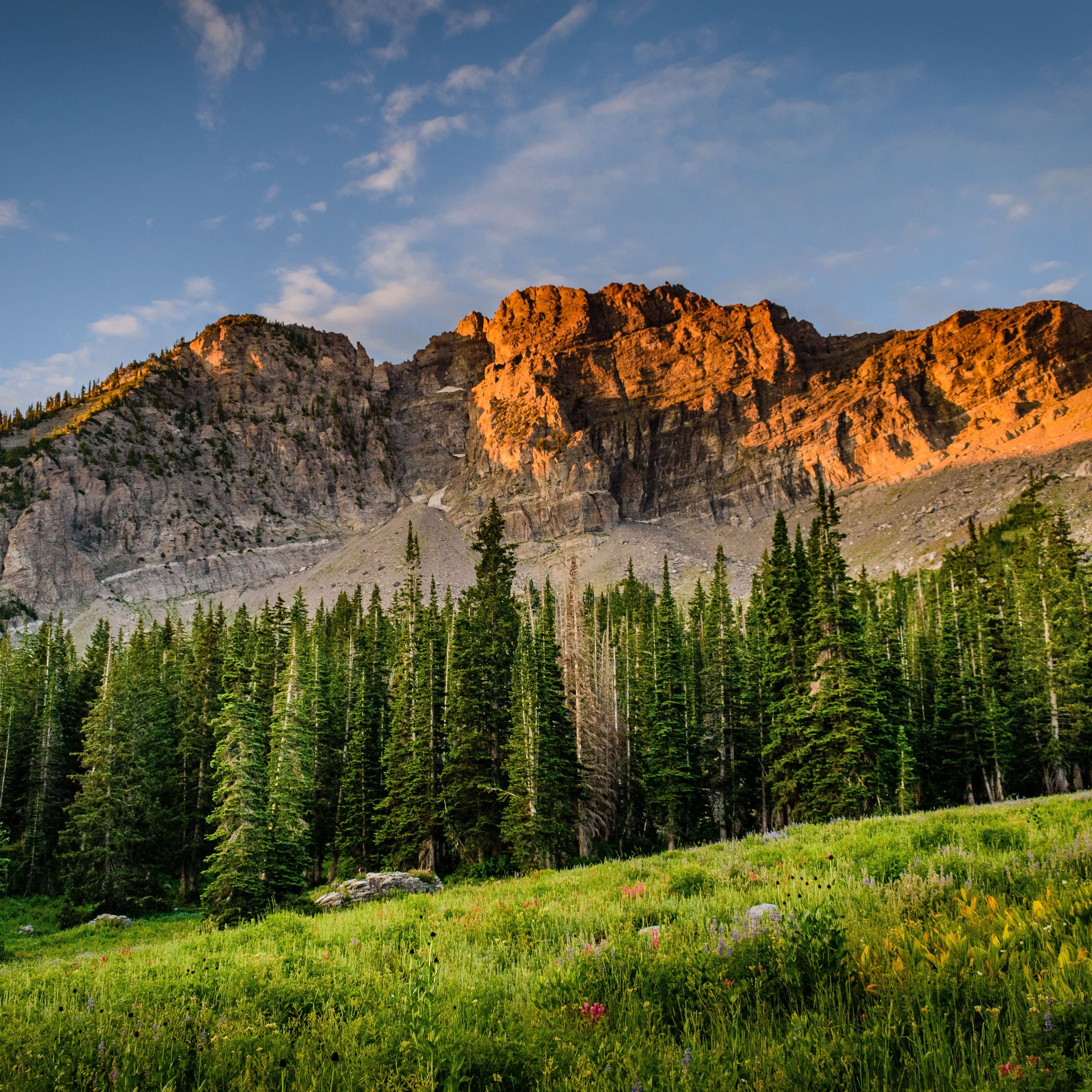 Mountains and forest in a yellow sunset - Wallpapers for iPad Pro 12.9″ in 2732x2732 resolution