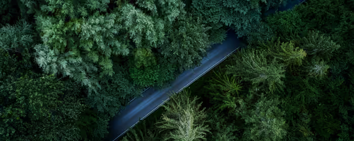 UltraWide 21:9 Highway wallpapers (3440x1440): Germany, forest, road, trees