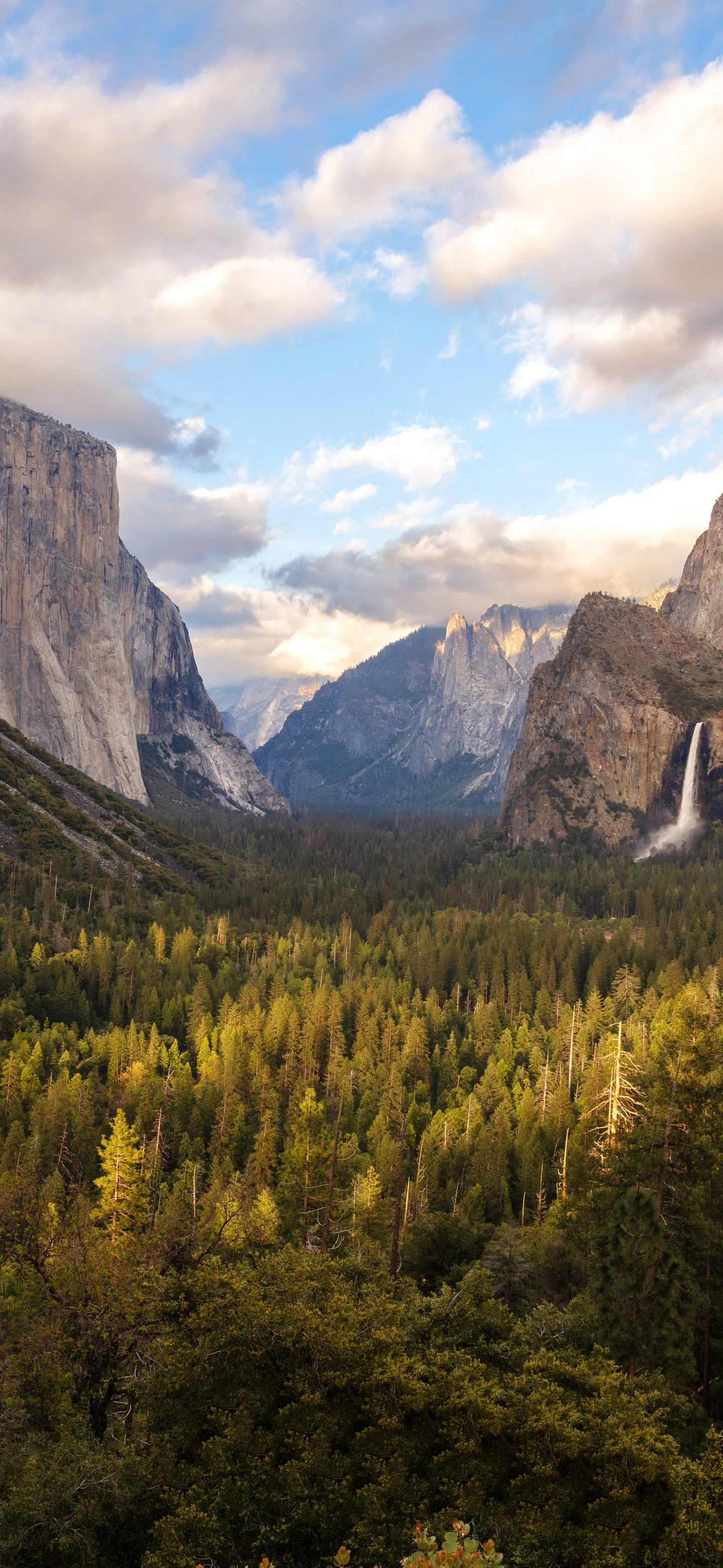 Yosemite Valley Mountain Panorama - Wallpapers for Samsung Galaxy S24/S24 Ultra/S25 Ultra/S25+/S26 Ultra in 1440x3120 resolution