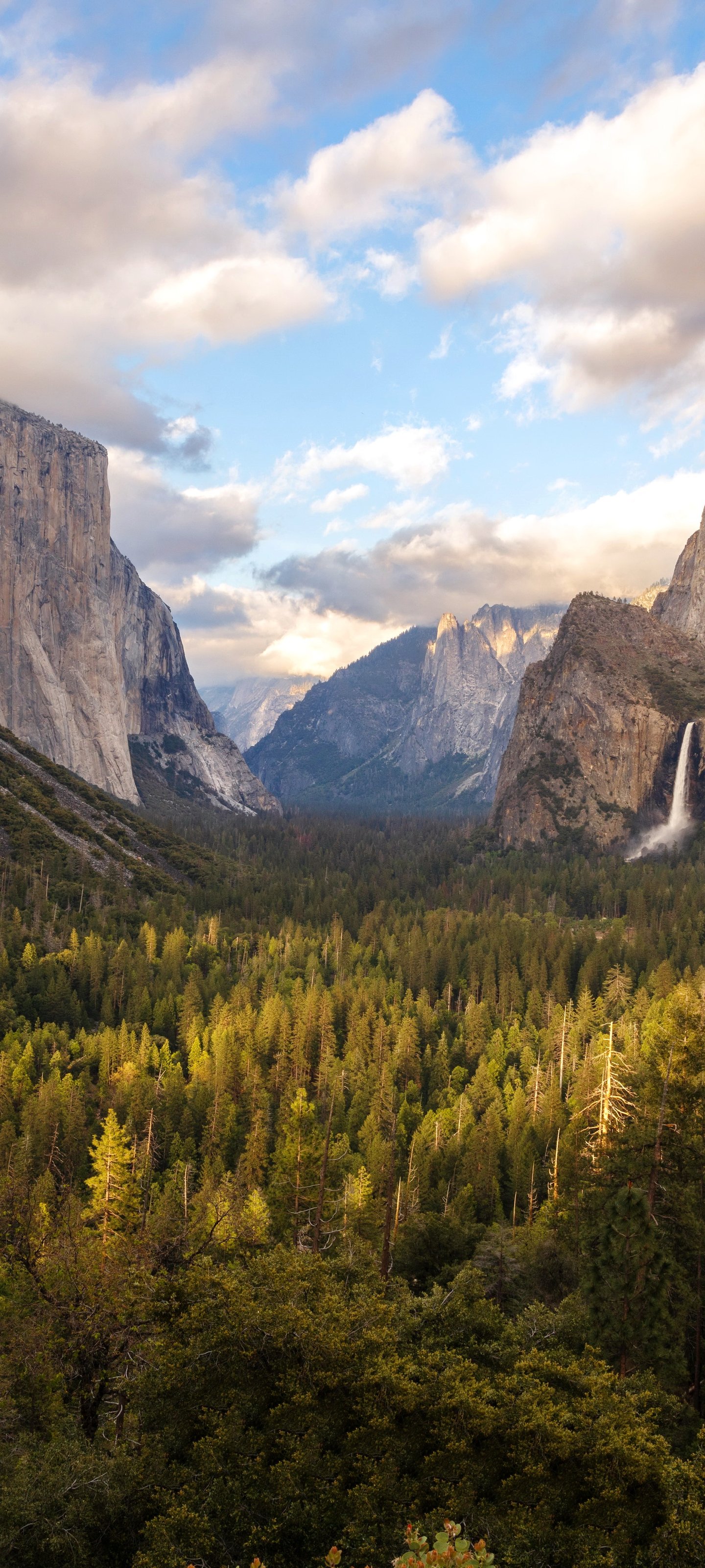 Yosemite Valley Mountain Panorama - Wallpapers for Xiaomi 13 Ultra/14 Ultra/15 Ultra/17 Pro Max, Samsung Galaxy S20/S20 Ultra/S21 Ultra in 1440x3200 resolution