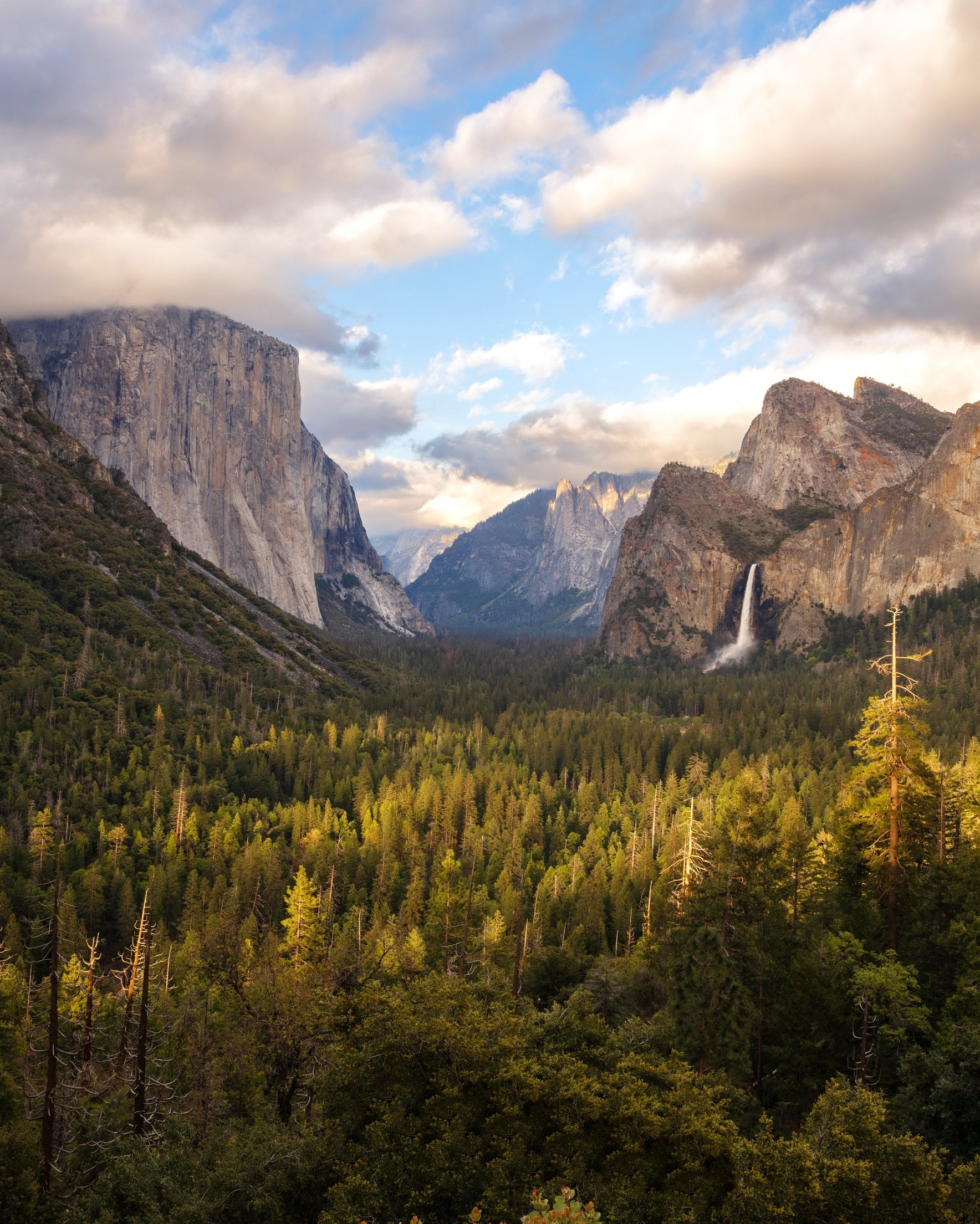 Yosemite Valley Mountain Panorama - Wallpapers for Samsung Galaxy Z Fold 2/3 in 1768x2208 resolution
