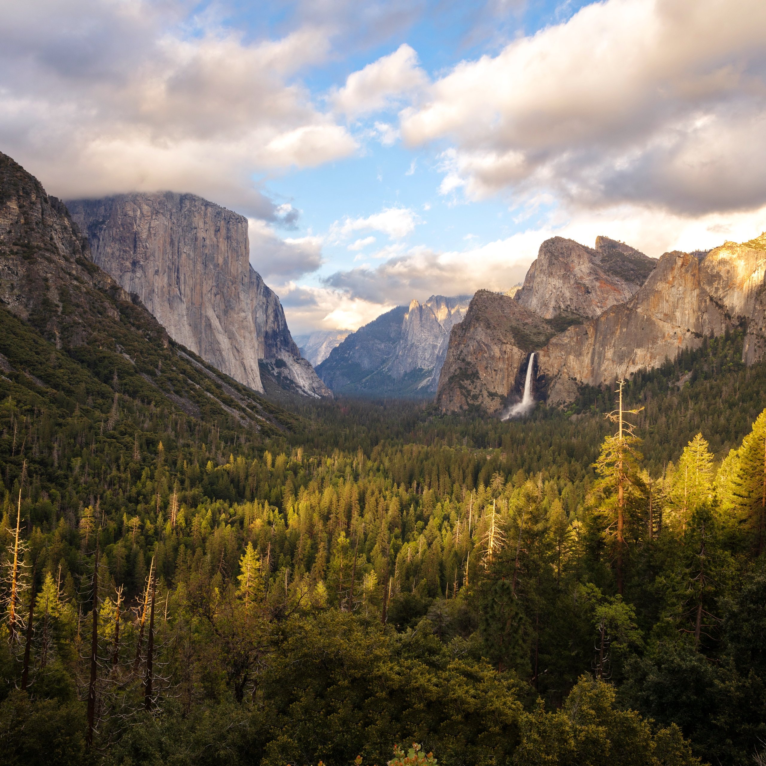 Yosemite Valley Mountain Panorama - Wallpapers for Samsung Galaxy Tab S9 FE+/Tab S11, Xiaomi Pad 5, Redmi Pad 2 Pro, POCO Pad in 2560x2560 resolution
