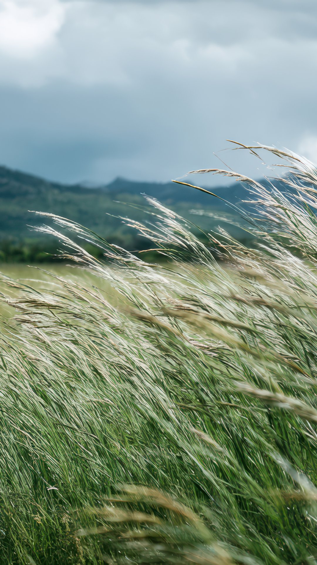 Cloudy Mountain Meadow Landscape - Wallpapers for Samsung, Honor, Sony in 1080x1920 resolution
