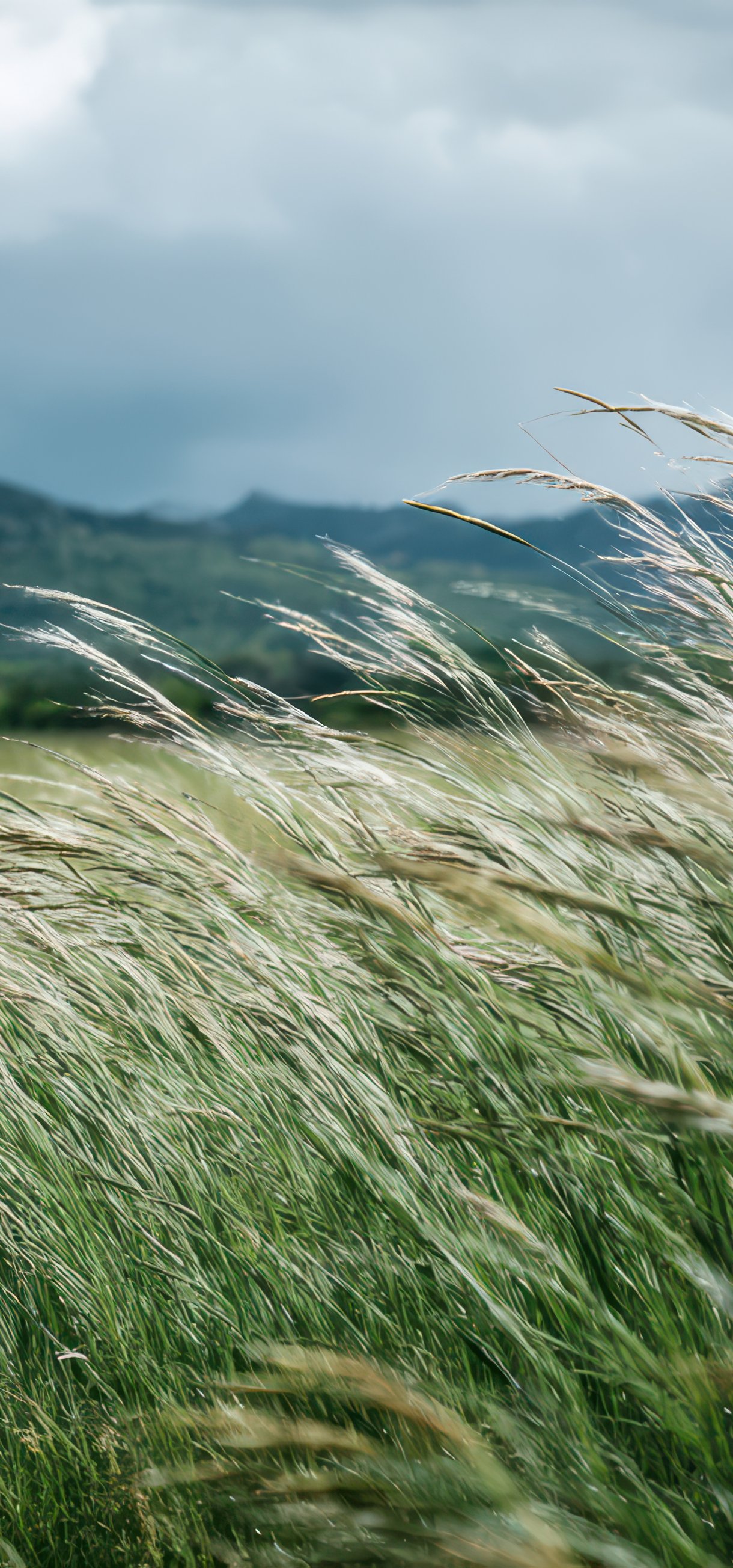 Cloudy Mountain Meadow Landscape - Wallpapers for Xiaomi 17/17 Pro in 1220x2608 resolution