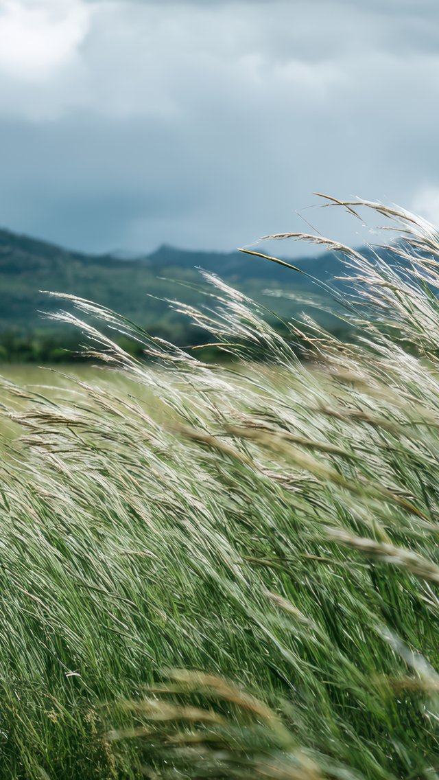 Cloudy Mountain Meadow Landscape - Wallpapers for iPhone 5/5S/5C/SE in 640x1136 resolution