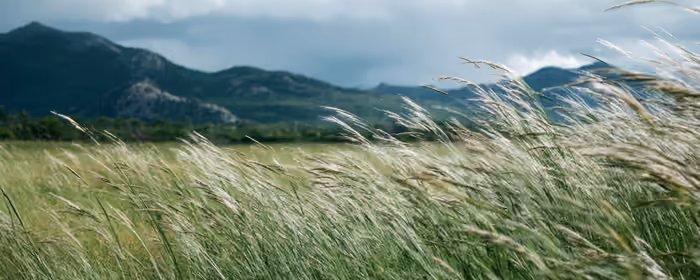 UltraWide 21:9 обои (2560x1080): поле, горы, облака, небо