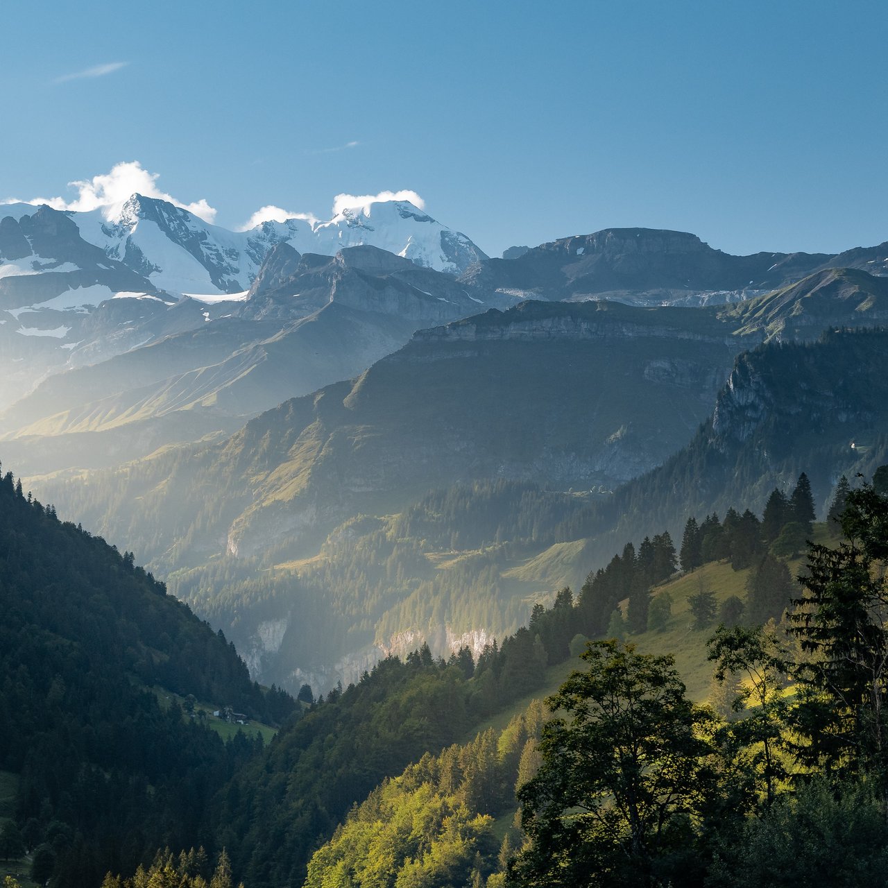 Swiss Alps Mountain Meadow View - Wallpapers for Lenovo, Huawei in 1280x1280 resolution