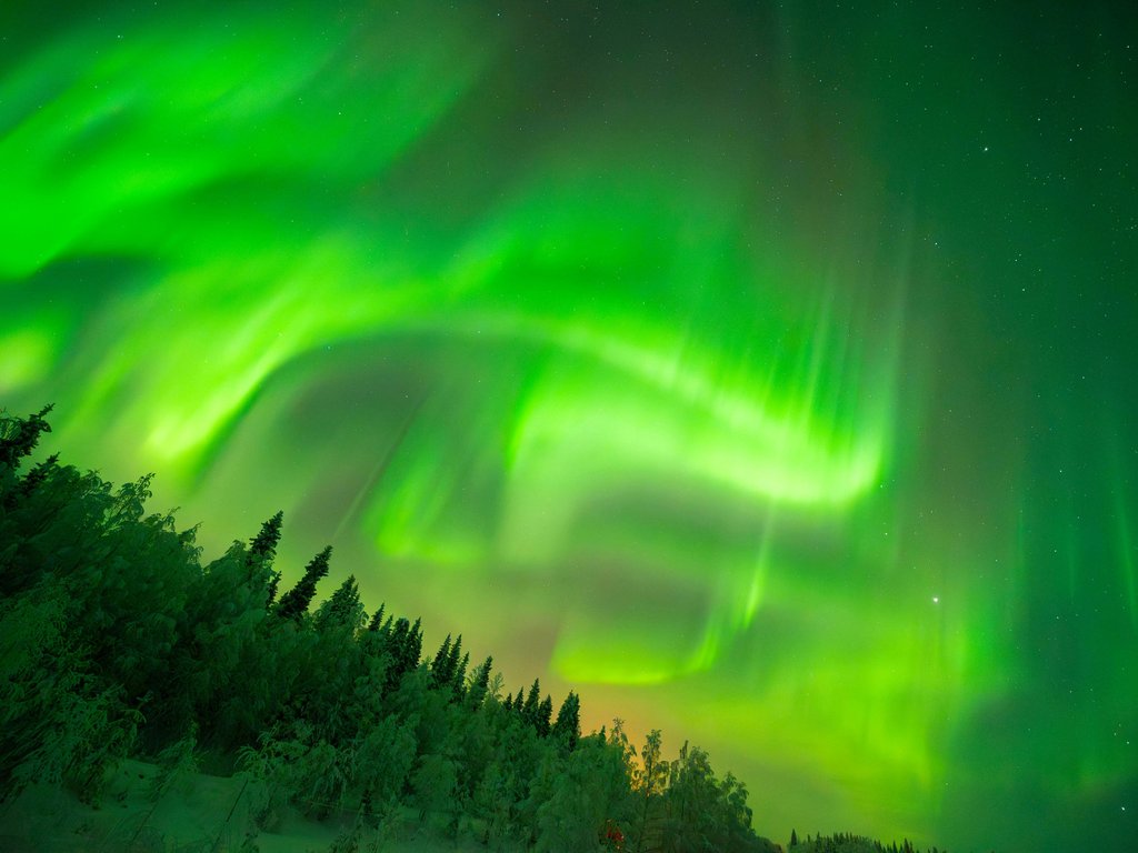 Green northern lights over the night forest - XVGA wallpapers in 1024x768 resolution