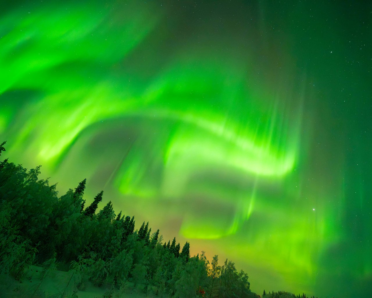 Green northern lights over the night forest - SXGA wallpapers in 1280x1024 resolution