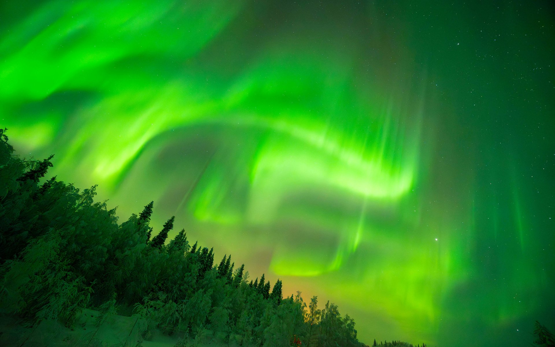 Green northern lights over the night forest - WUXGA wallpapers in 1920x1200 resolution