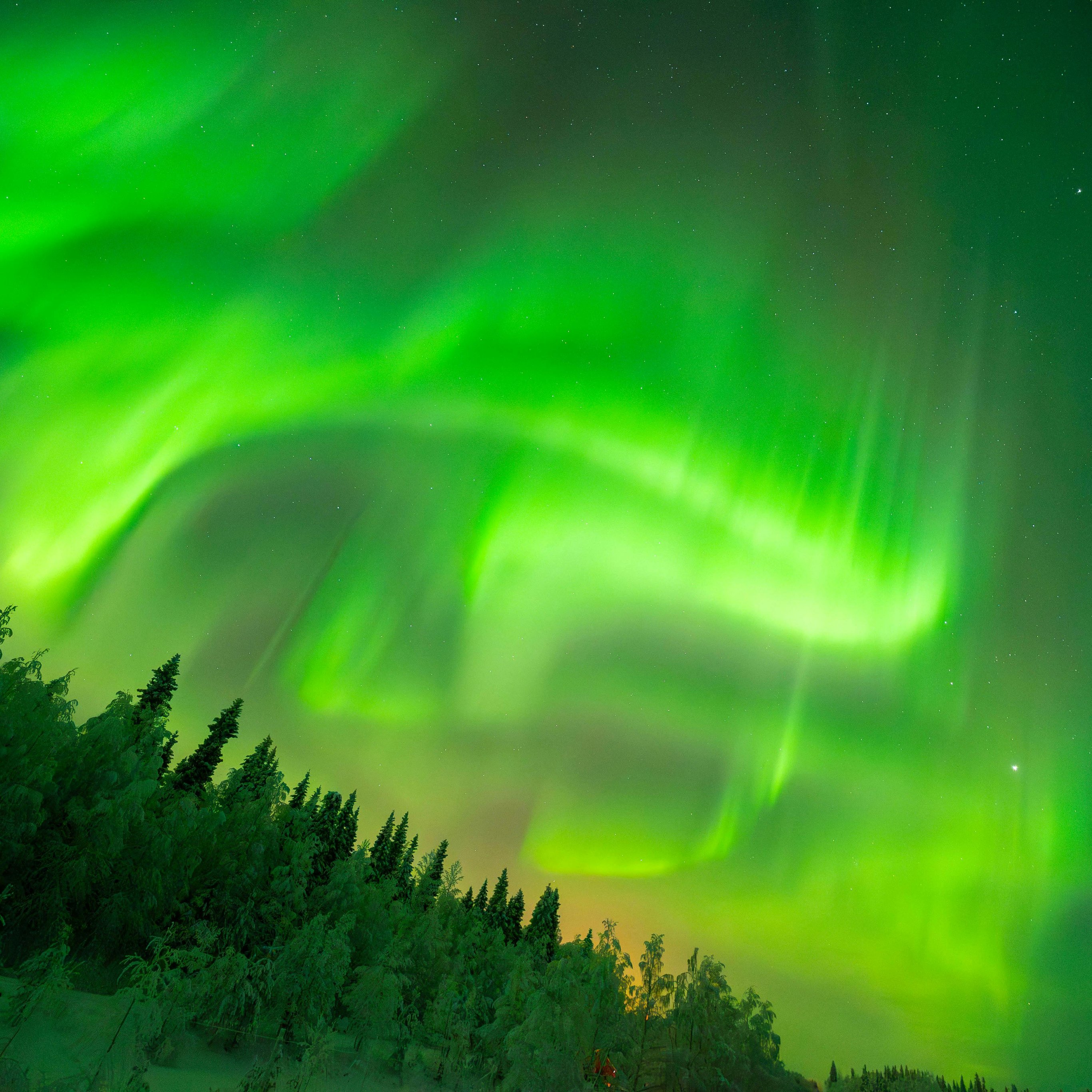 Green northern lights over the night forest - Wallpapers for iPad Pro 12.9″ in 2732x2732 resolution