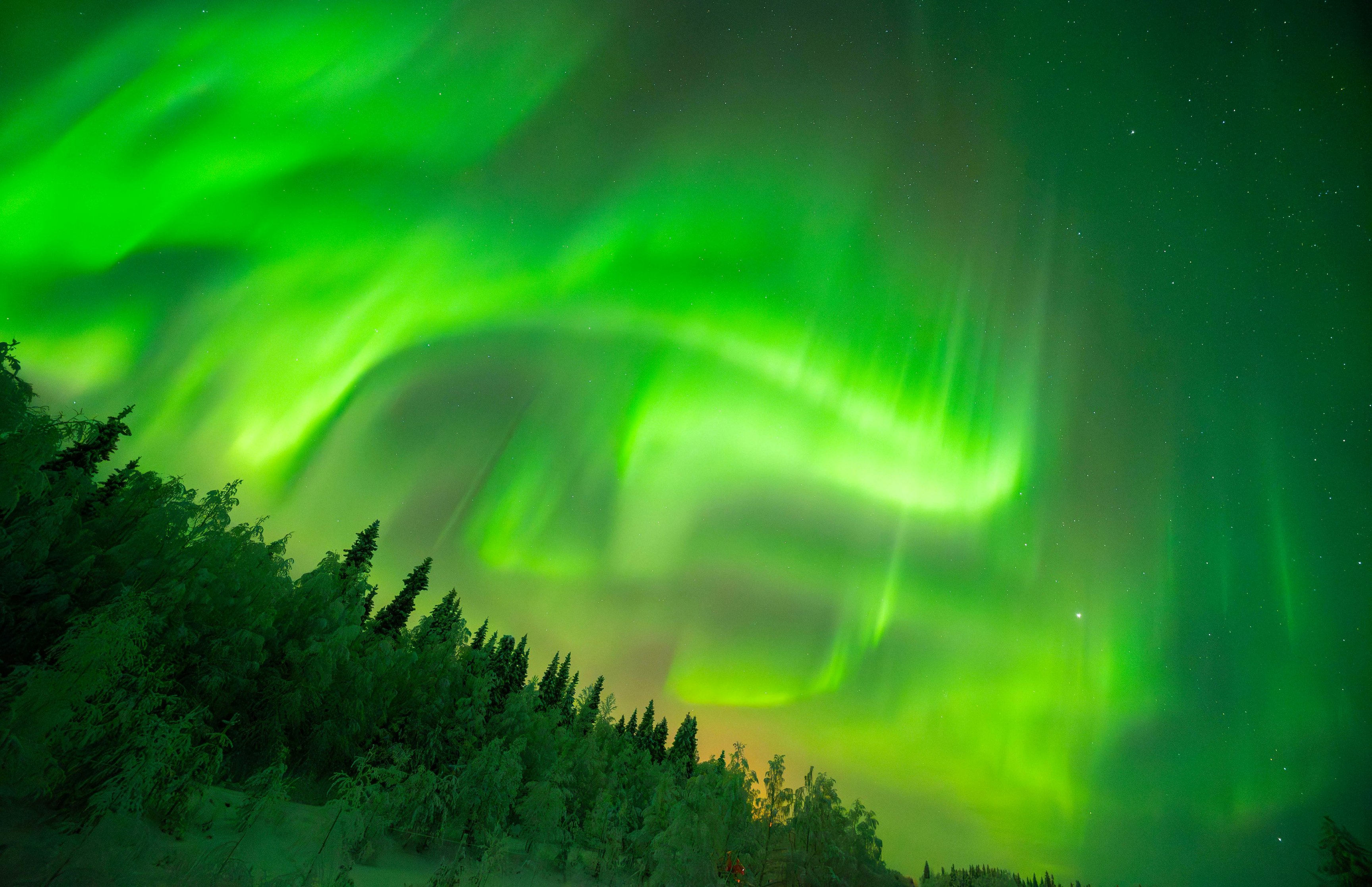 Green northern lights over the night forest - Wallpapers for Apple MacBook 16.2″ in 3456x2234 resolution