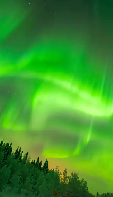 Nature Wallpapers for Xiaomi 15T (1280x2772): night, aurora, forest, stars