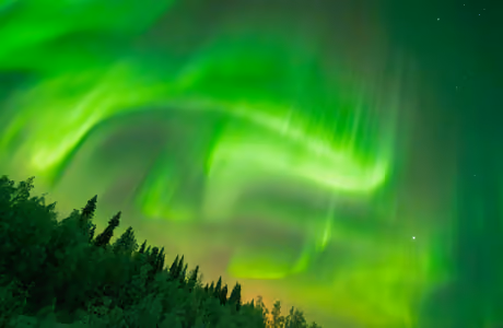 WQXGA широкоформатные и Apple MacBook Air 13 Aurora wallpapers (2560x1600): night, aurora, forest, stars