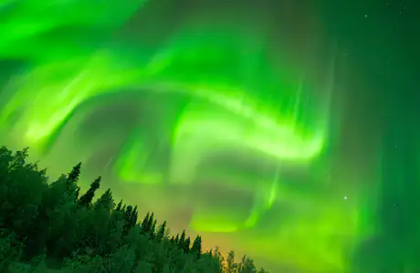 4K PC Wallpapers (3840x2160): night, aurora, forest, stars