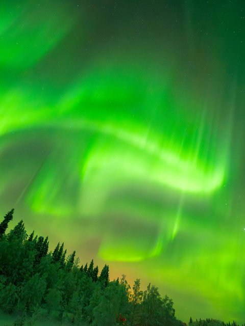 Green northern lights over the night forest - Wallpapers for HTC/BlackBerry in 480x640 resolution