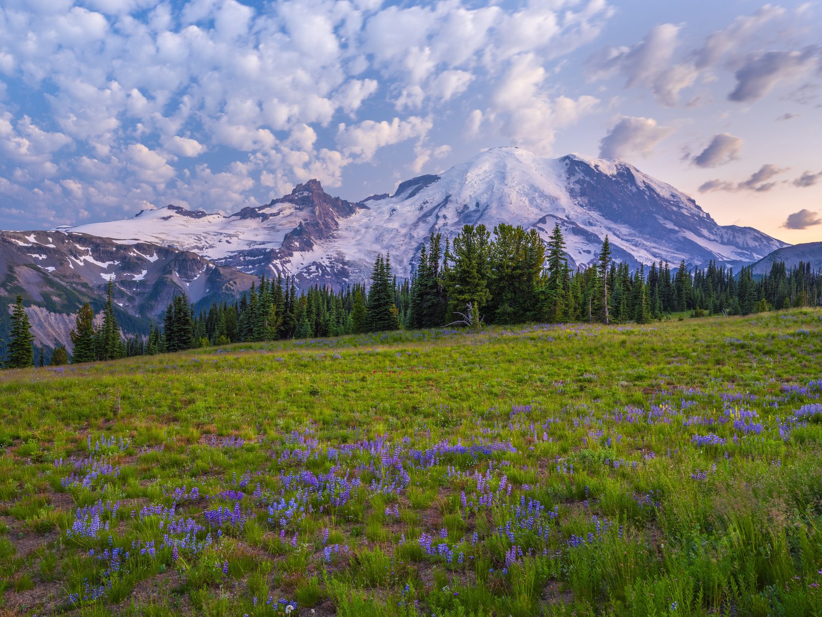 Mountain Meadow with Glacier Views - UXGA wallpapers in 1600x1200 resolution