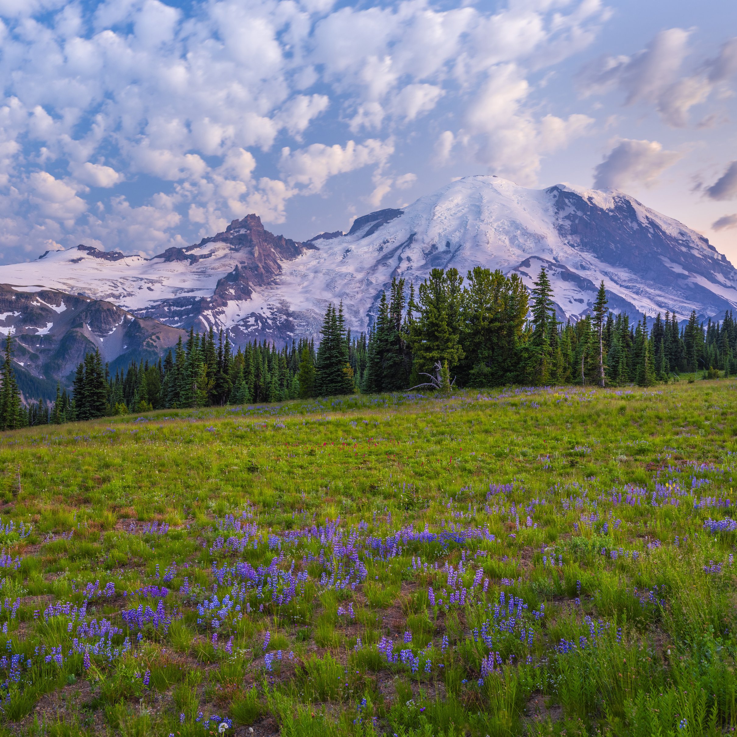 Mountain Meadow with Glacier Views - Wallpapers for iPad Pro 11″ 2024 in 2420x2420 resolution