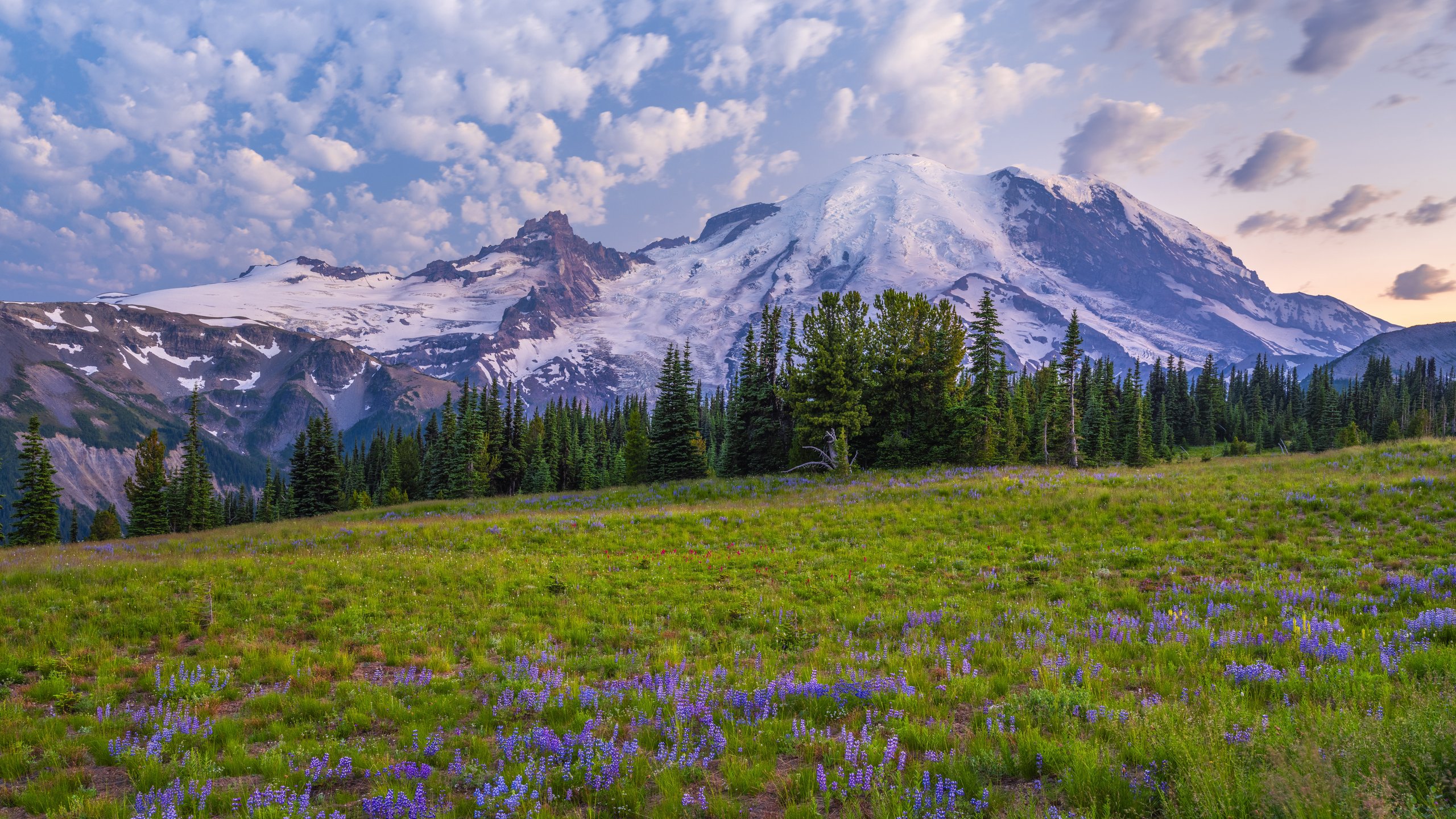 Mountain Meadow with Glacier Views - 2K Quad HD wallpapers in 2560x1440 resolution