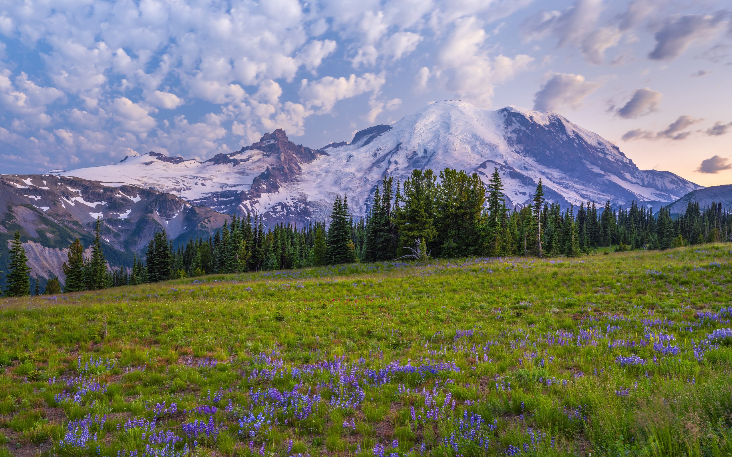 Mountain Meadow with Glacier Views - WQXGA and for Apple MacBook Air 13 wallpapers in 2560x1600 resolution