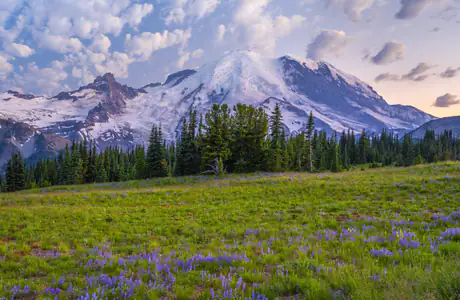 WXGA_1280 wallpapers (1280x800): mountains, valley, lupines, glacier