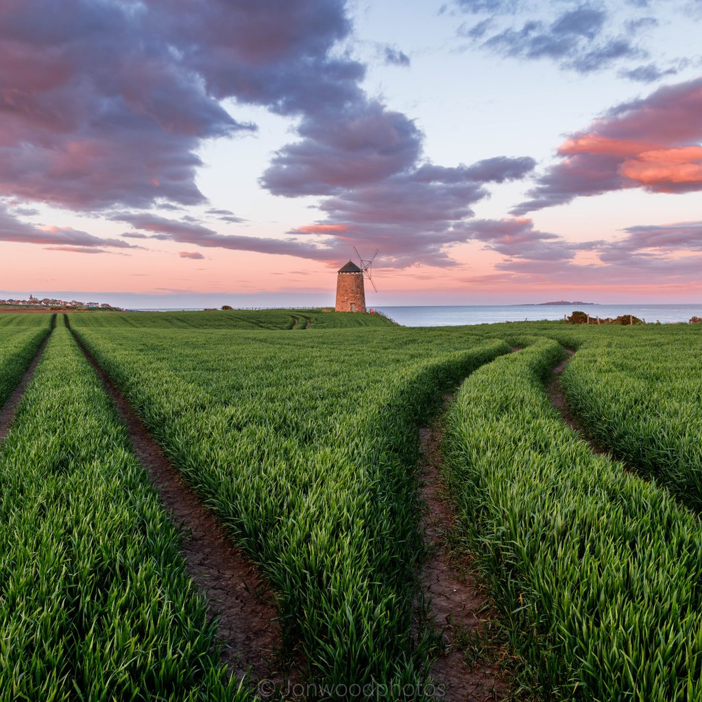 Green field in Scotland at sunset - Wallpapers for Apple iPad 1 in 1024x1024 resolution