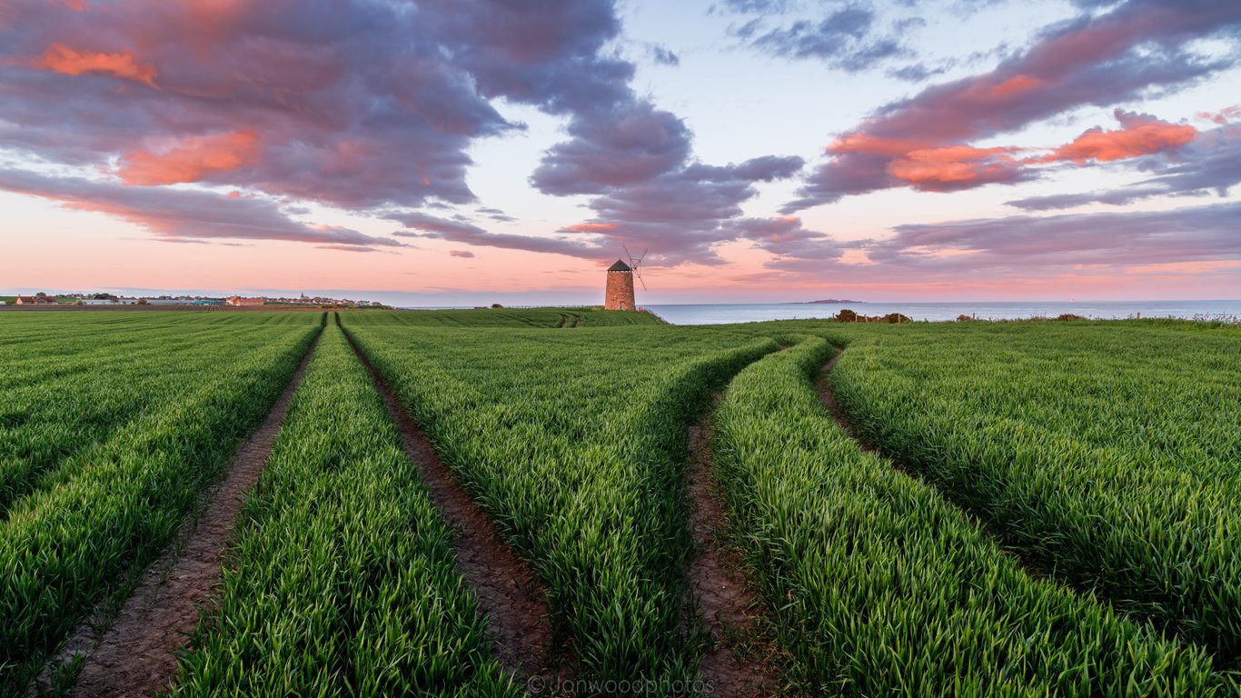 Green field in Scotland at sunset - Laptop Wallpapers in 1366x768 resolution