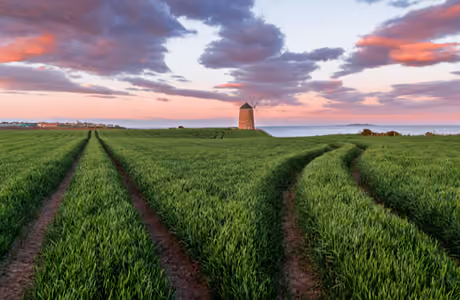 Nature wallpapers: Scotland, field, windmill, sunset